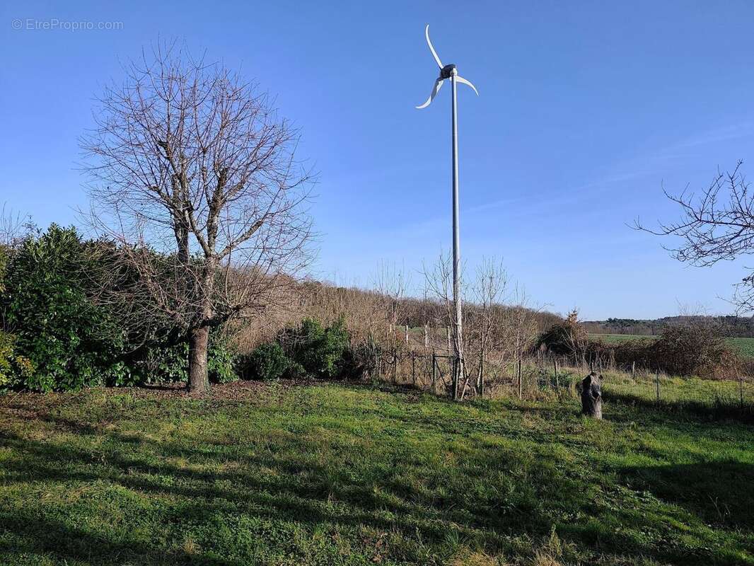 Photo 4 - Maison à NOYERS-SUR-CHER