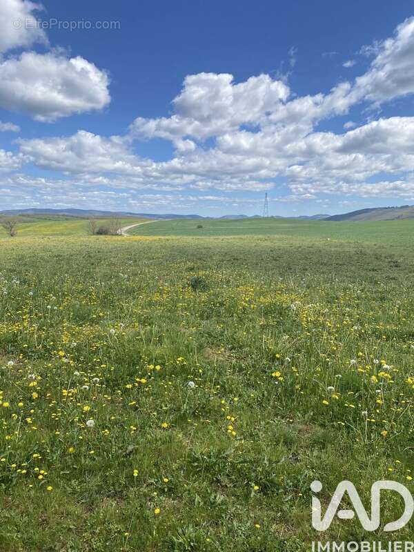 Photo 5 - Terrain à BELMONT-SUR-RANCE
