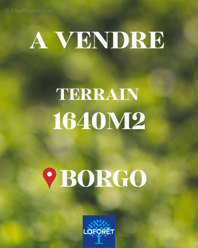 Terrain à BORGO