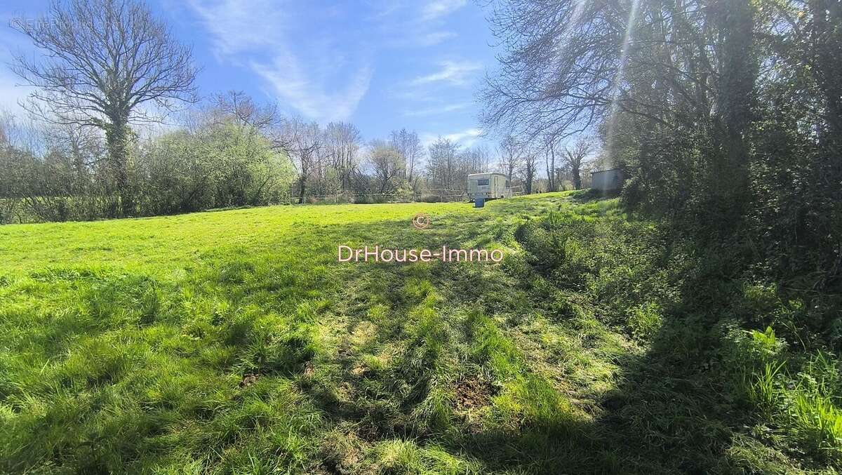 Terrain à LA RONDE-HAYE