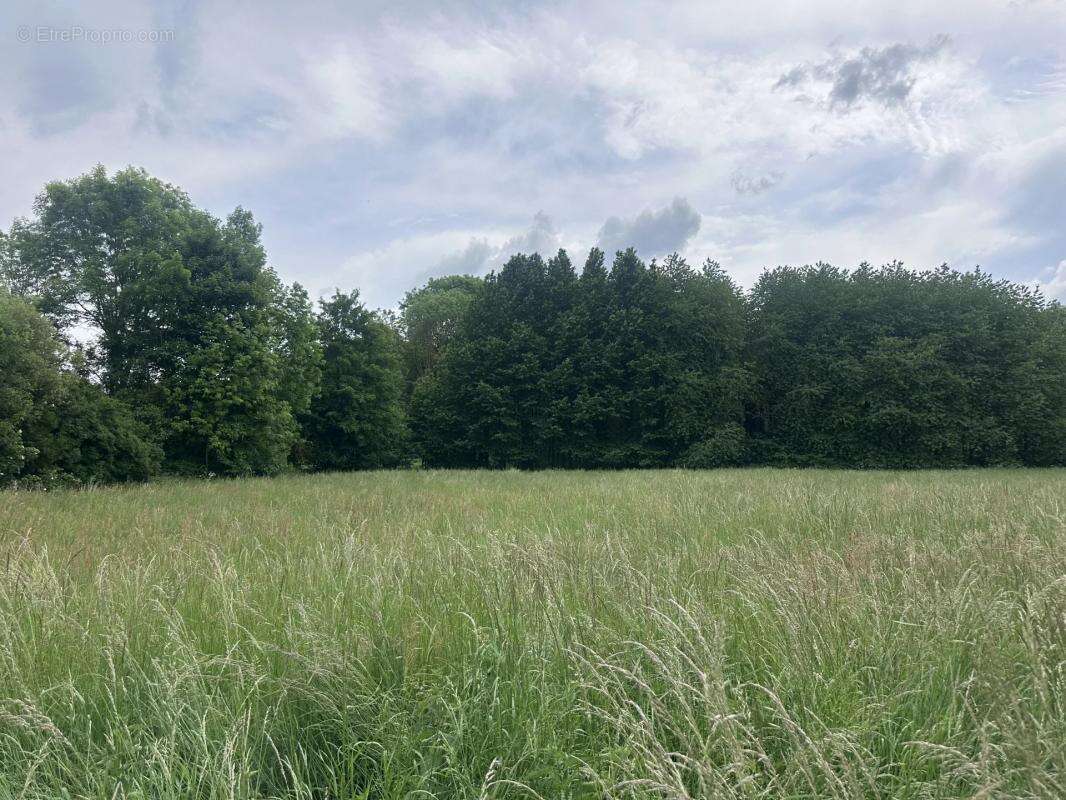 Terrain à AMBLAINVILLE