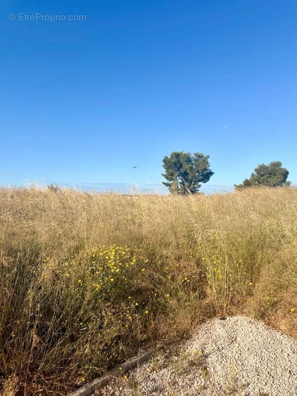 Terrain 503 m² à Martigues  - photo 5