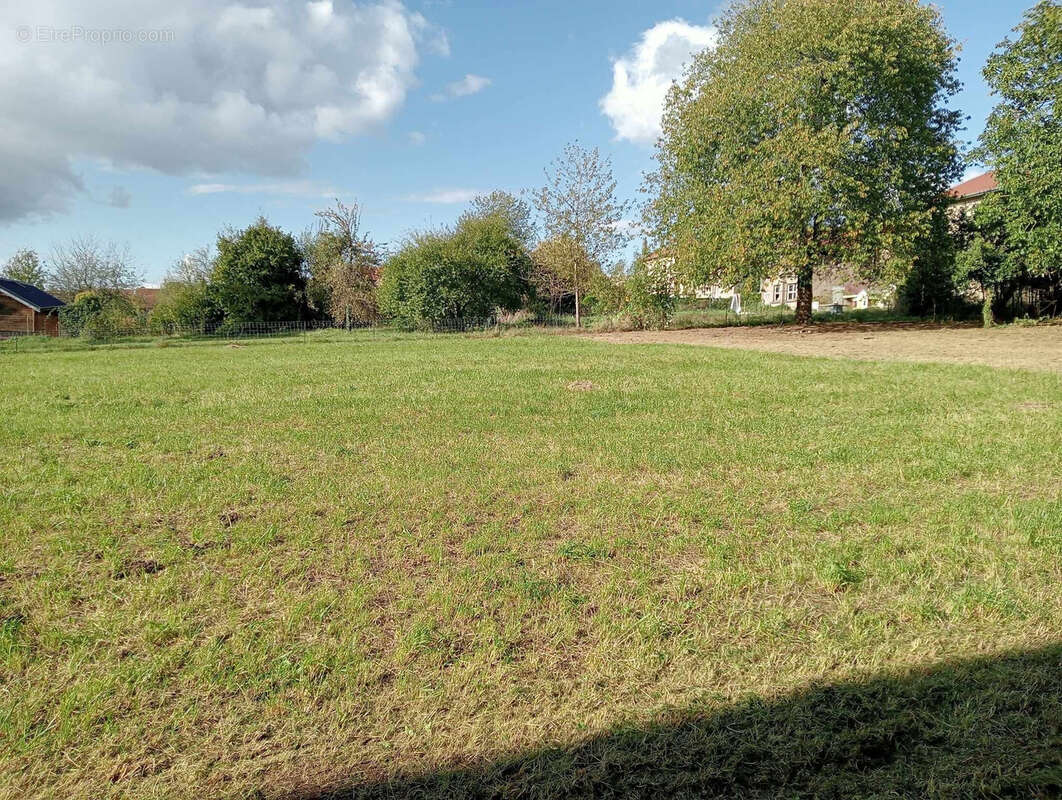 Maison à CONSENVOYE