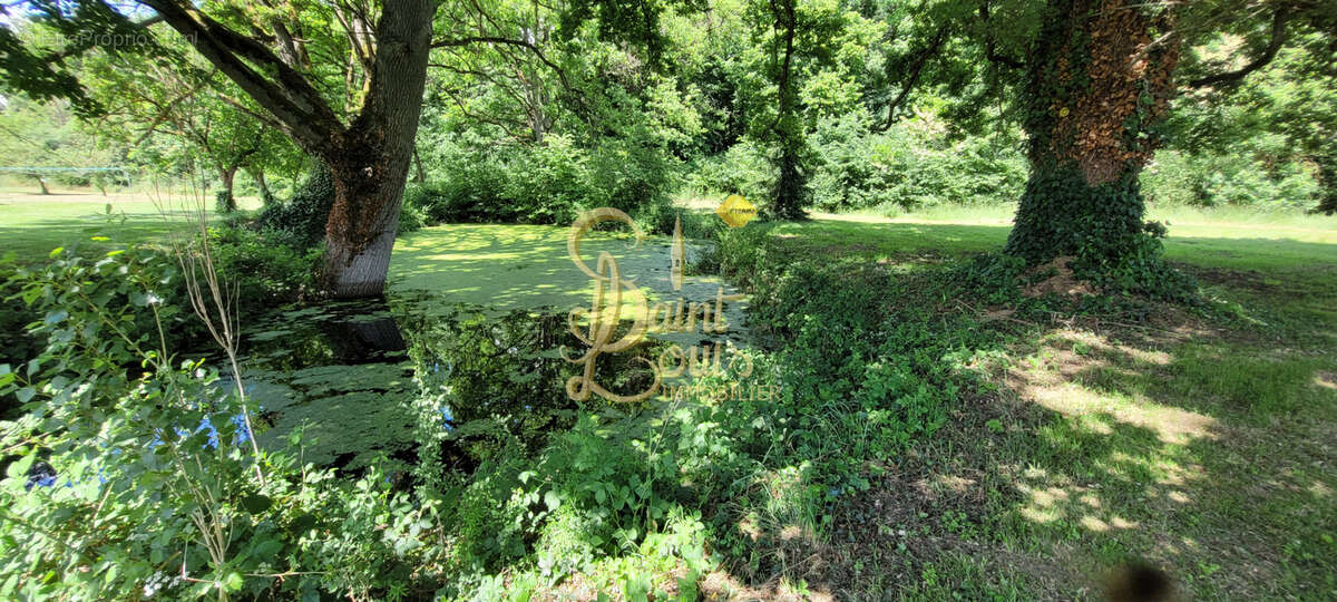 Maison à CHAMPIGNY-SUR-VEUDE