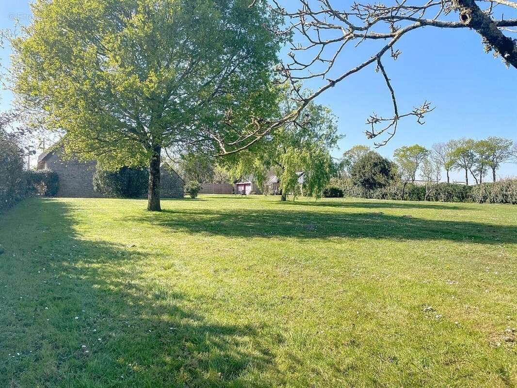 Photo 7 - Maison à GUERANDE