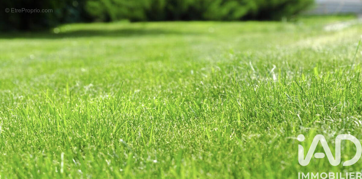 Photo 1 - Terrain à COUERON