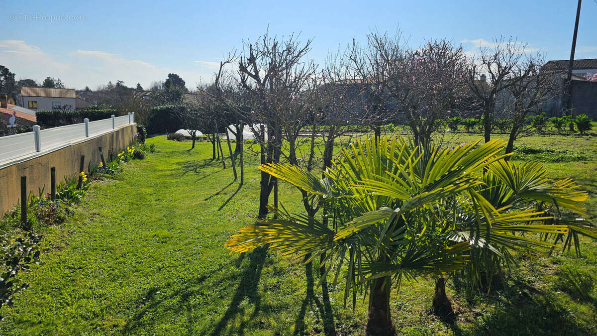 Terrain à BASSE-GOULAINE