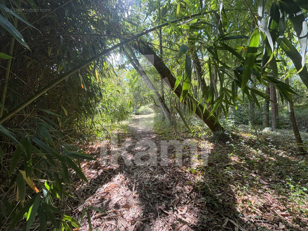 Maison à PIERREFITTE-SUR-SAULDRE