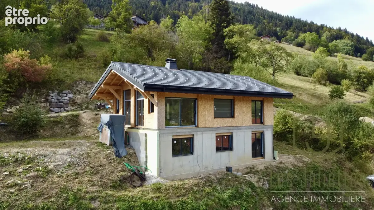 Chalet brut avec vue dégagée — seytroux (proximité morzine / portes du soleil) - photo 2