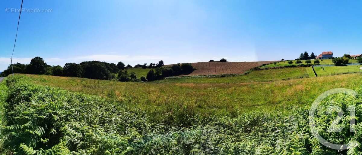 Terrain à LABEYRIE