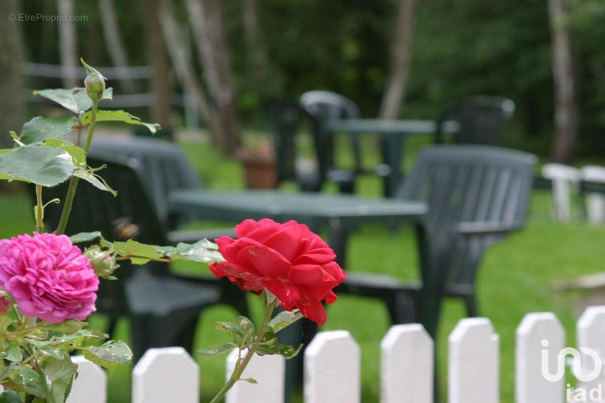 Photo 4 - Commerce à CERNAY-LA-VILLE