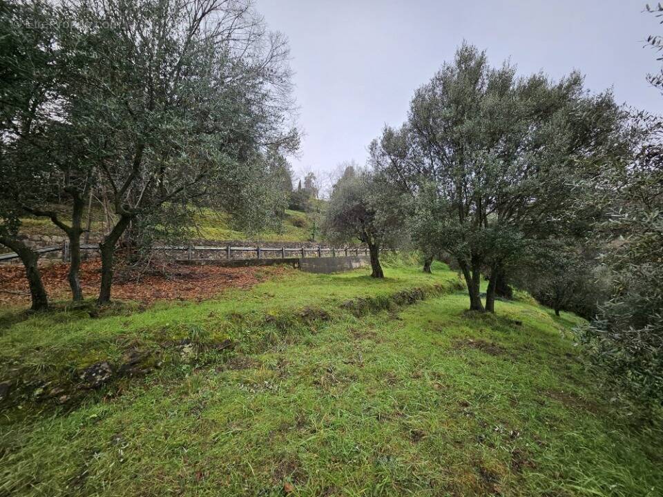 Terrain à BERRE-LES-ALPES
