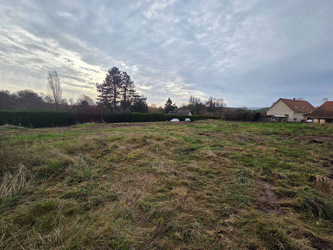 Terrain à LE LANDIN