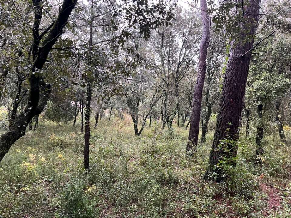 Terrain à SAINT-RESTITUT