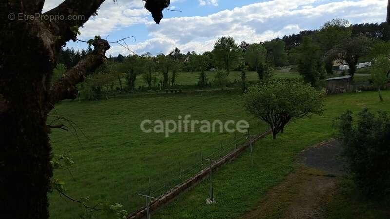 Maison à CASSANIOUZE