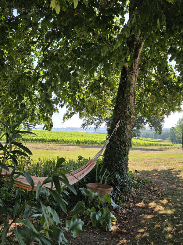 Proche eauze—maison de campagne avec piscine et dependances - photo 16