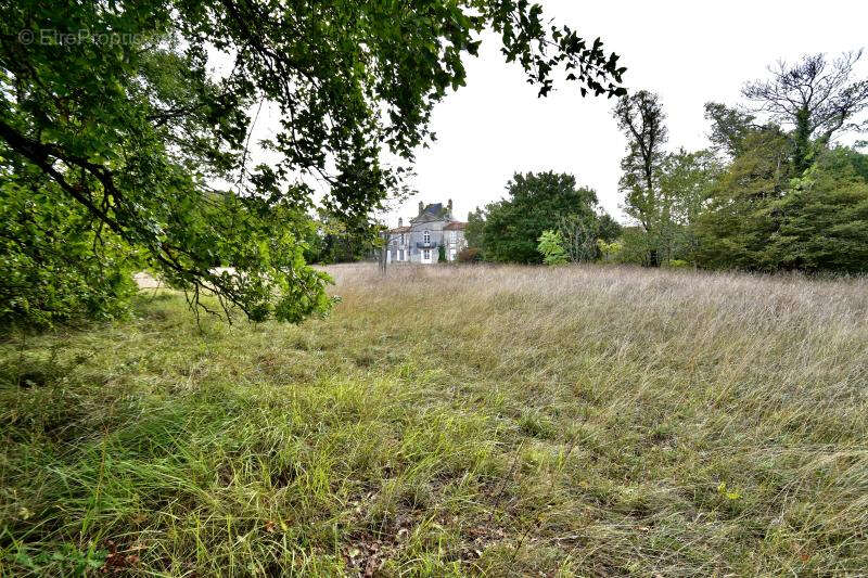 Maison à SAINT-JEAN-D&#039;ANGELY