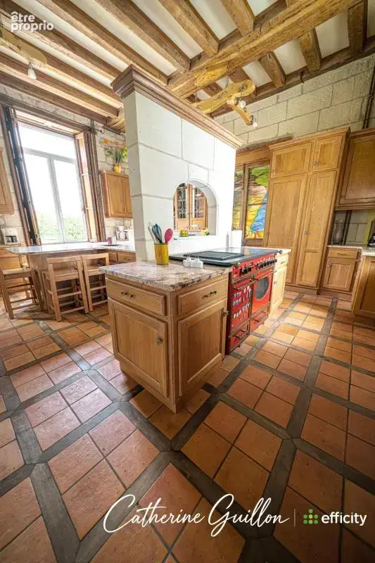 Maison 18 pièces 560 m² à vendre à Ingrandes (86220) - photo 10