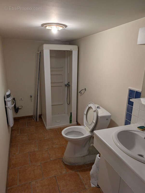 Maison à SAINT-SORLIN-DE-VIENNE