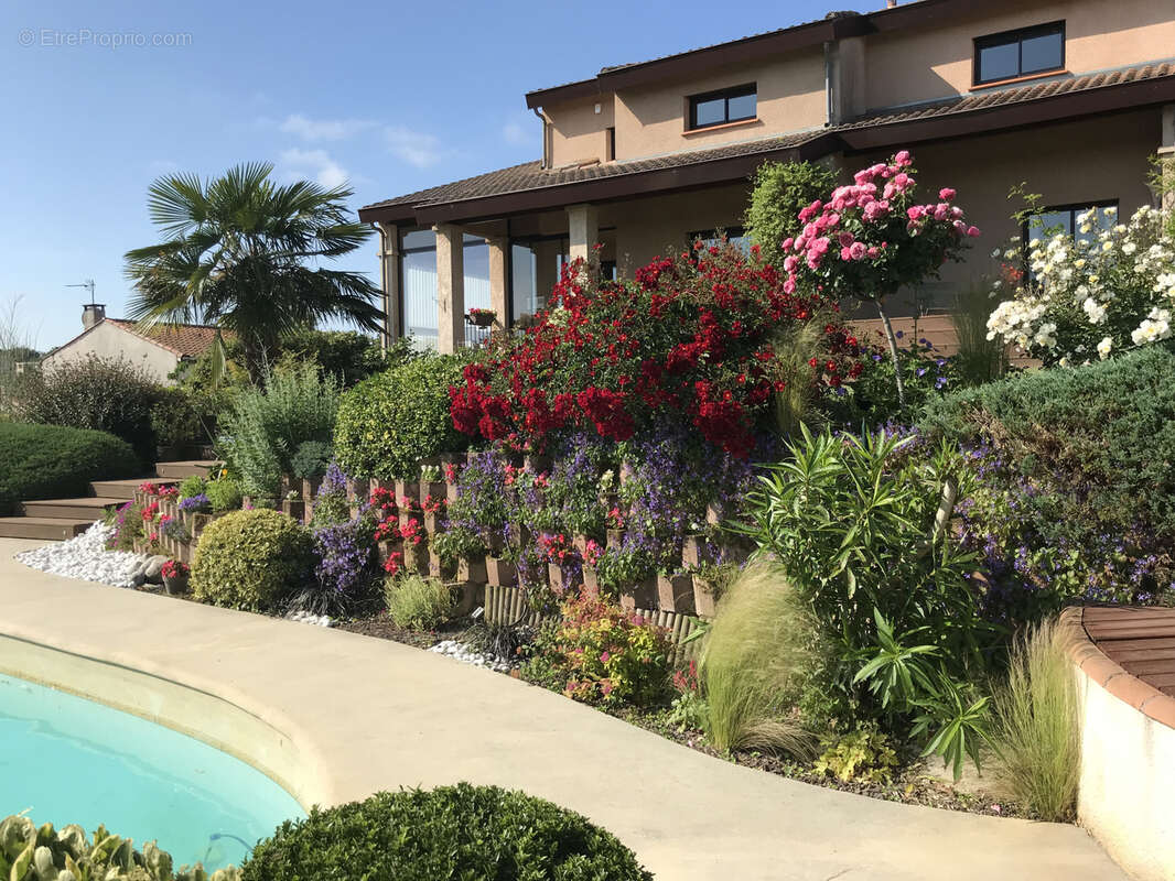 Maison à SAINT-ORENS-DE-GAMEVILLE