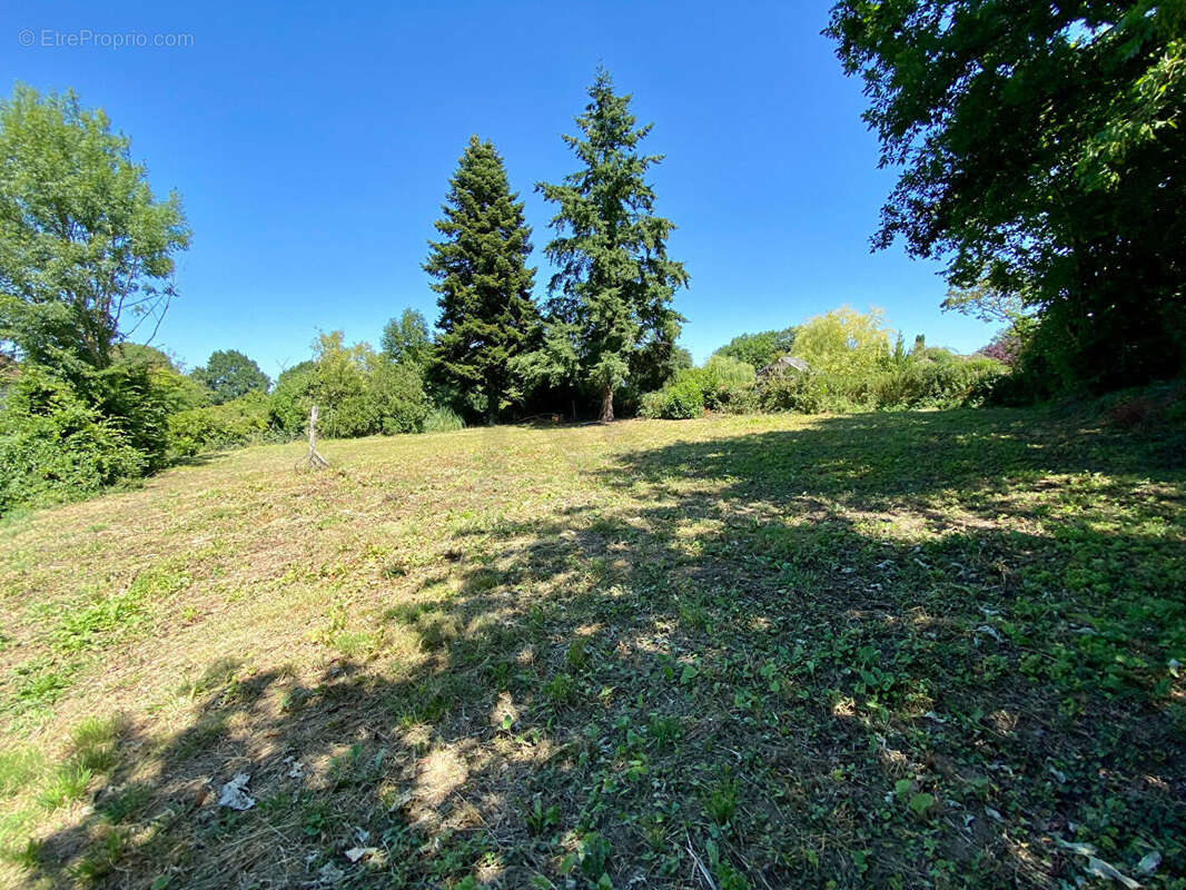 Terrain à AVOINE