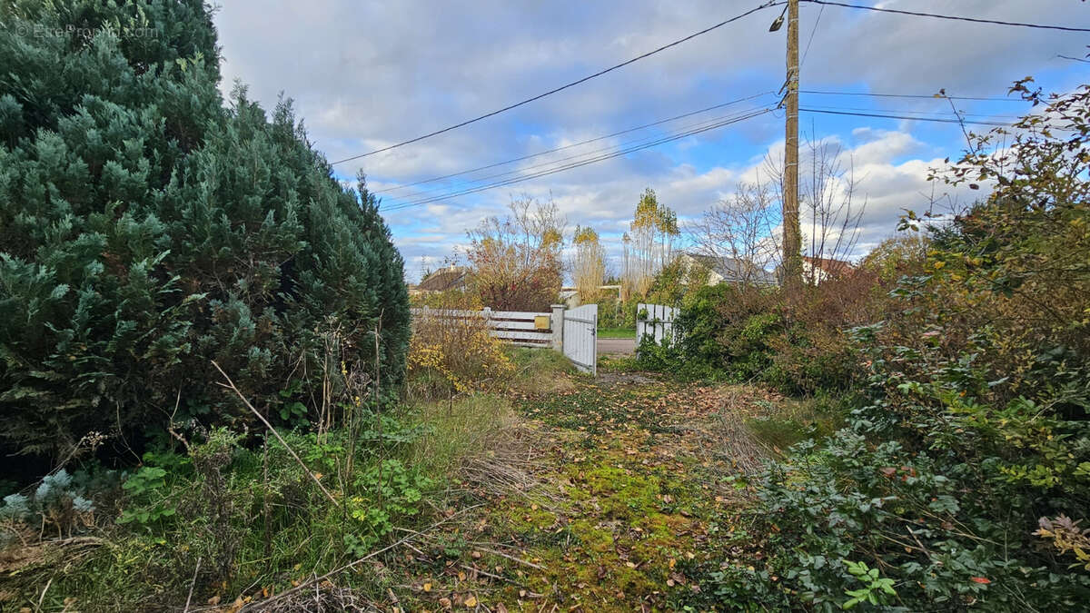 Maison à ERVAUVILLE