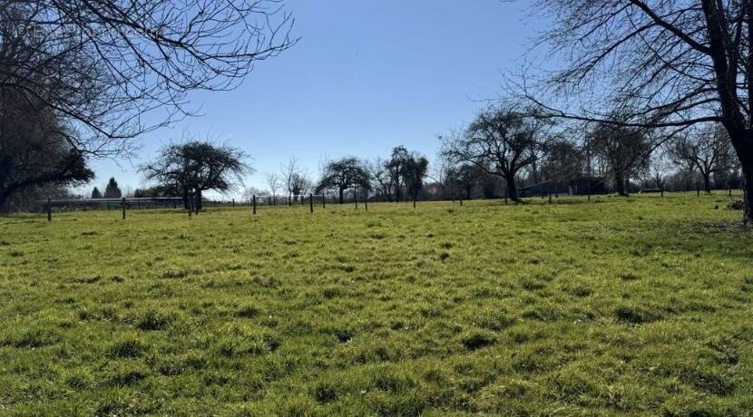 Terrain à VALSEME