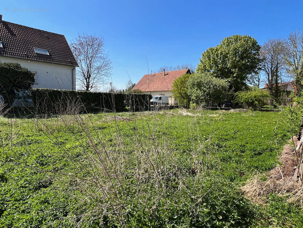 Maison à OBENHEIM