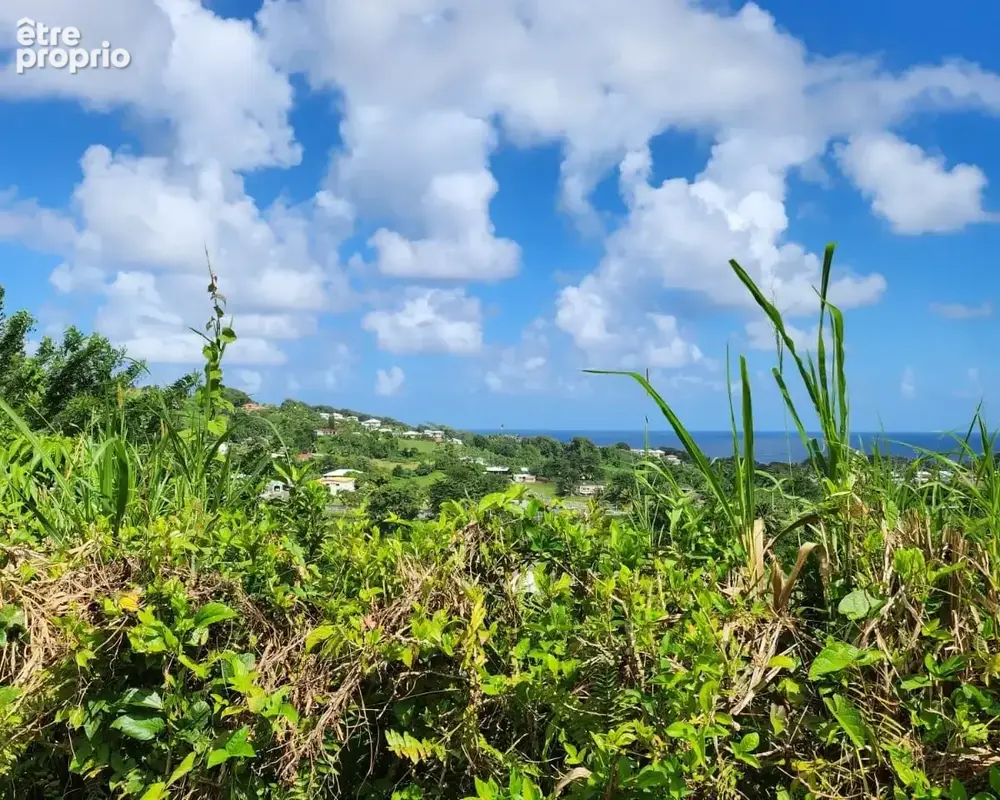 Terrain 930 m² à vendre à Le Lorrain (97214) - photo 2