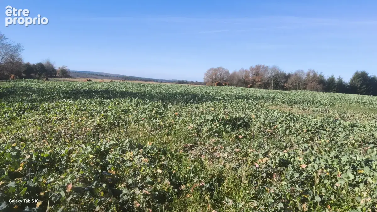 Fermette habitable a 10 mn d'eymoutiers - photo 17