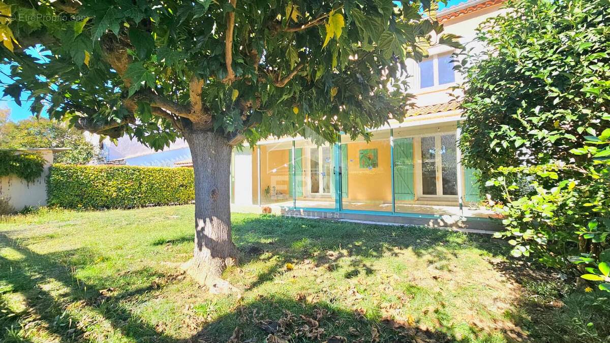 Maison à LIMOUX