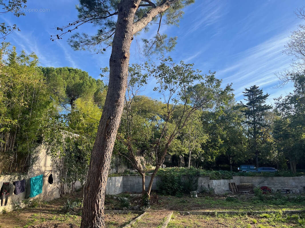 Terrain à MONTPELLIER