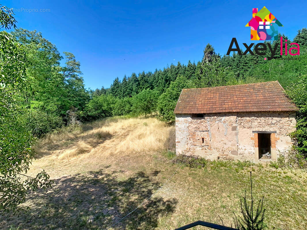 A vendre- proche lapalisse-  maison avec dépendances sur terrain de plus de 2 ha - photo 15