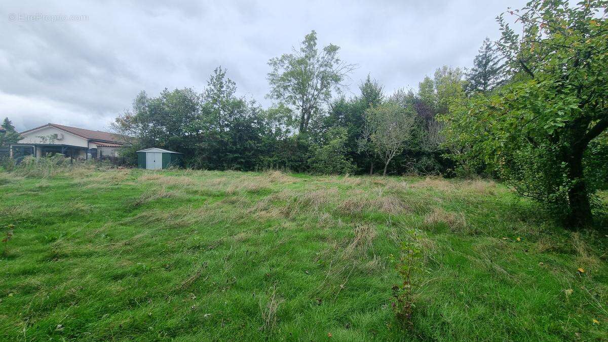 Terrain à VILLARS-LES-DOMBES