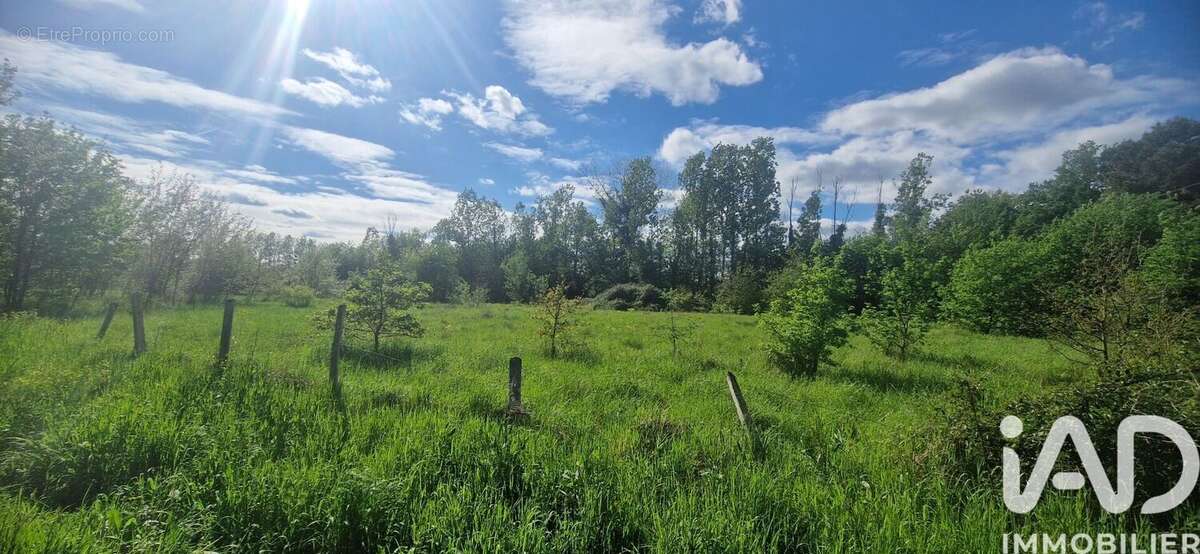 Photo 6 - Terrain à SAINT-LAURENT-DES-HOMMES