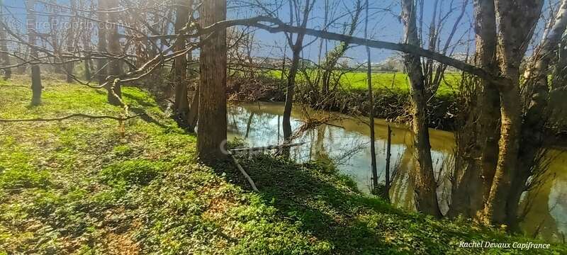 A vendre terrain de loisir a pance (35) - photo 3