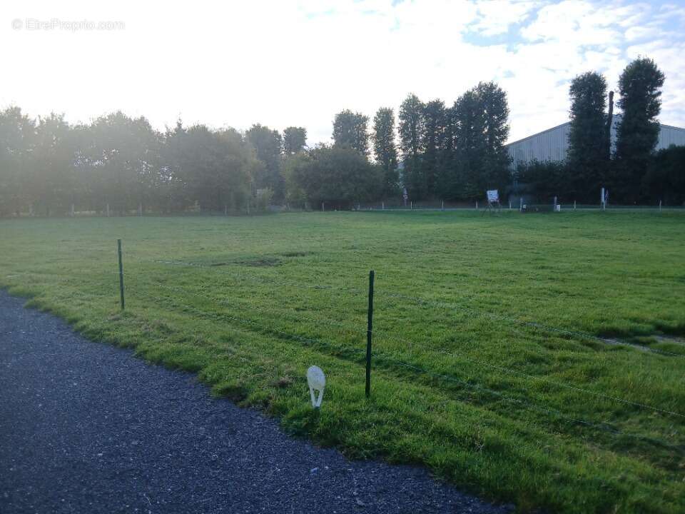 Terrain à SAINT-EUSTACHE-LA-FORET