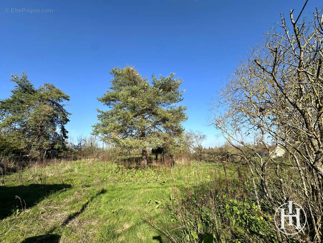 À VENDRE : Ensemble immobilier de caractère   2 maisons indépendantes avec fort potentiel - - photo 16