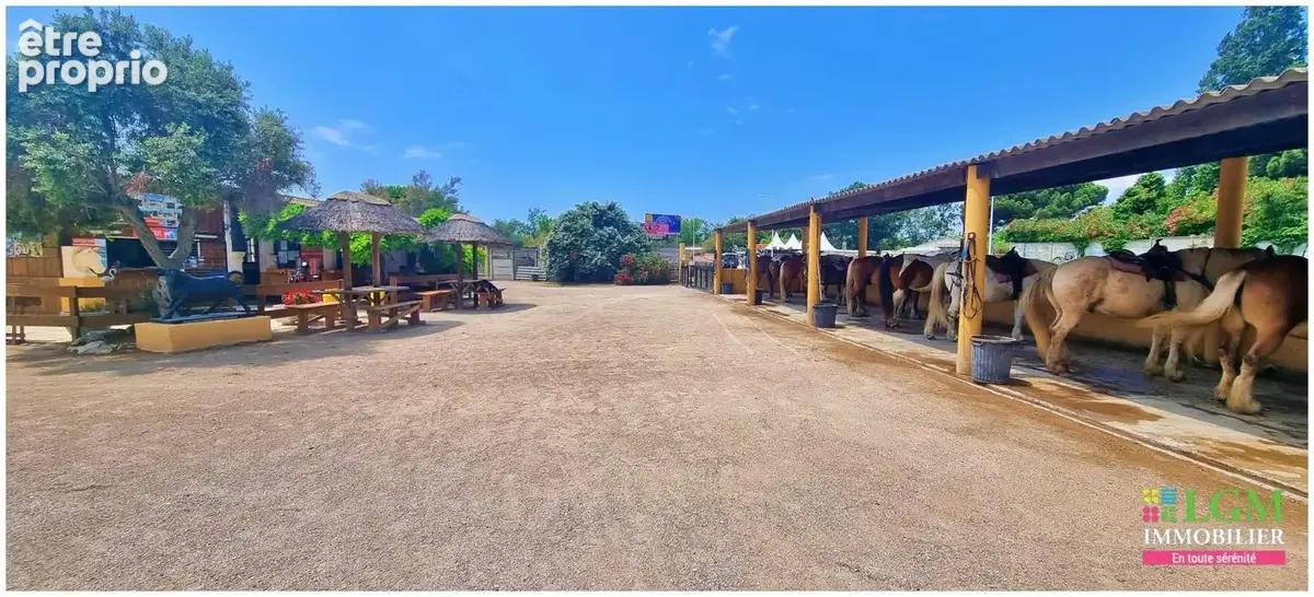 En exclusivité à vendre : RANCH - Le Grau du Roi - Terrain et infrastructure - photo 4