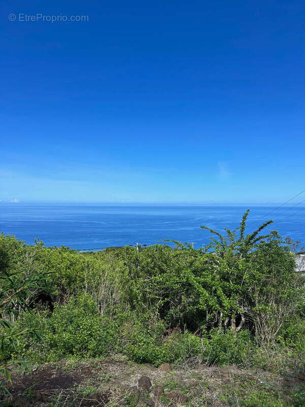 Terrain à SAINT-LEU