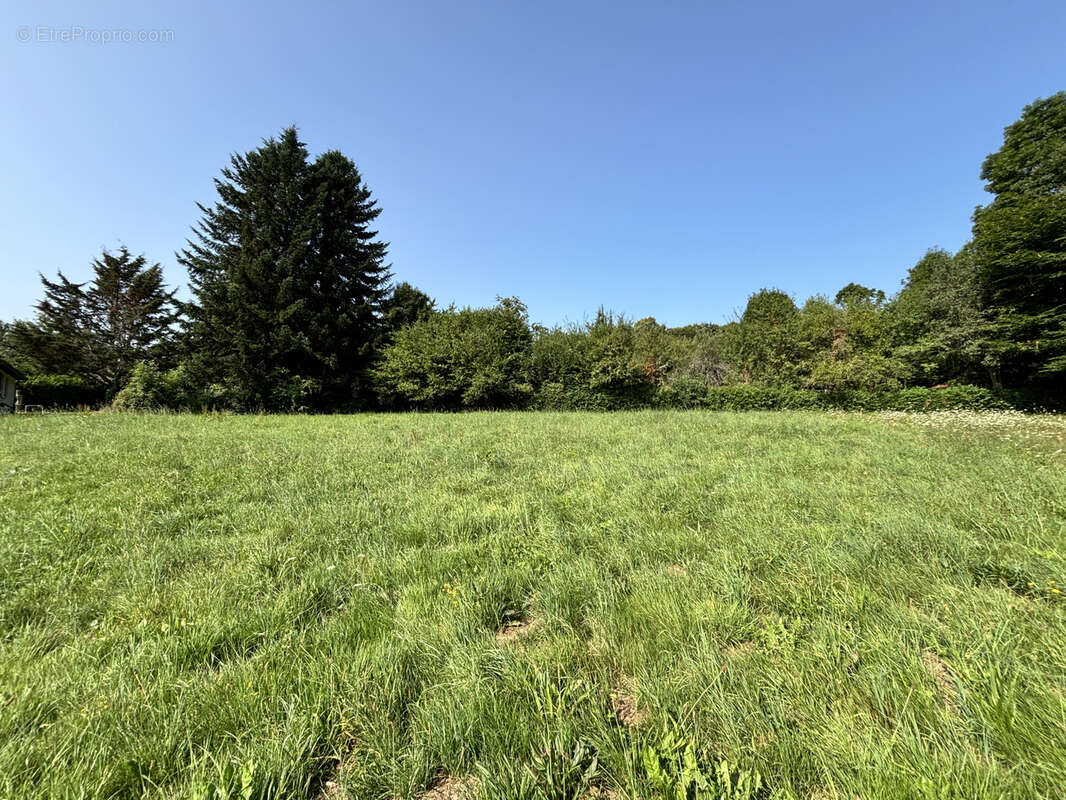 Terrain à SAINT-JAL