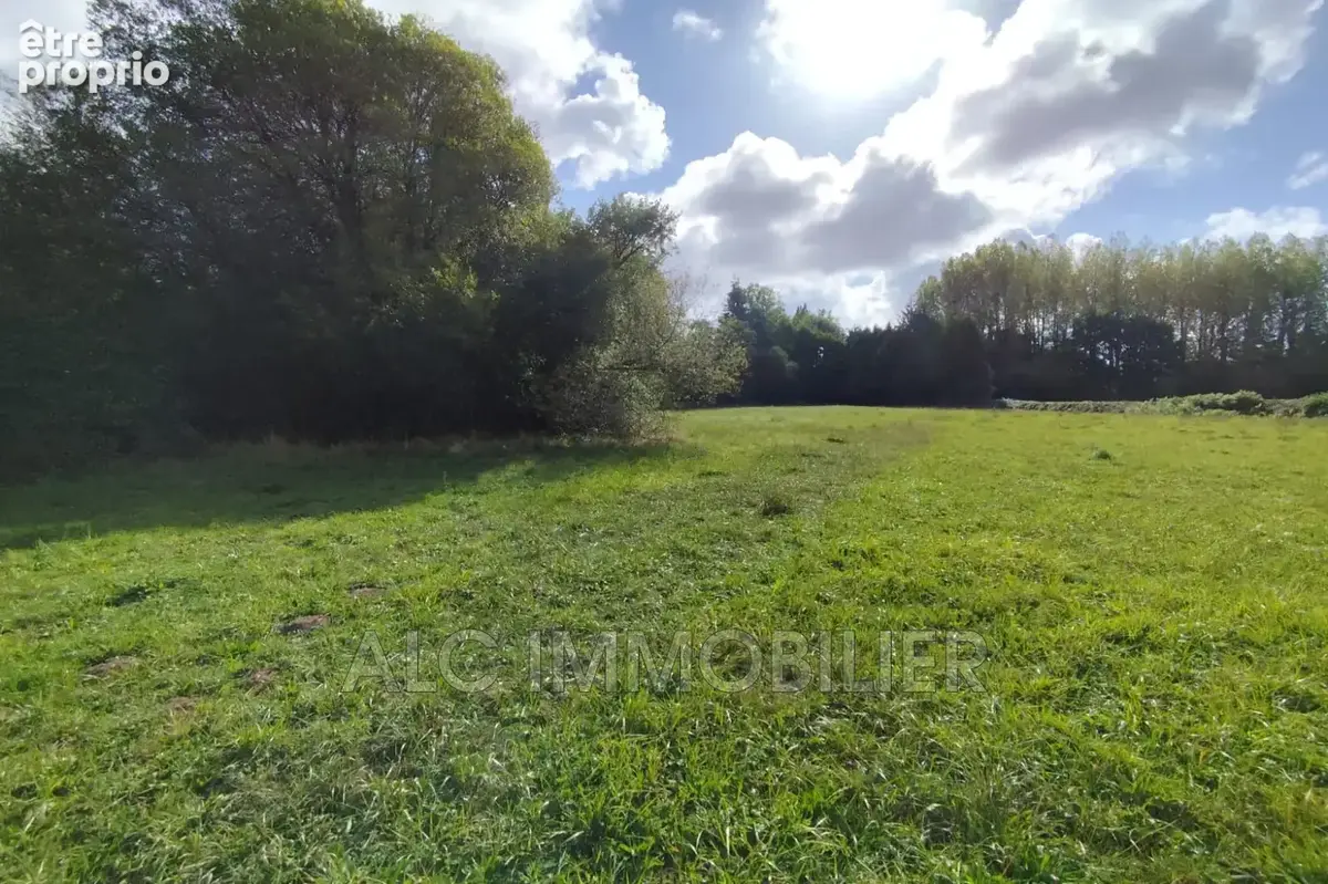 Terrain 9 405 m² à vendre à Saint-Martin-L'aiguillon (61320) - photo 6