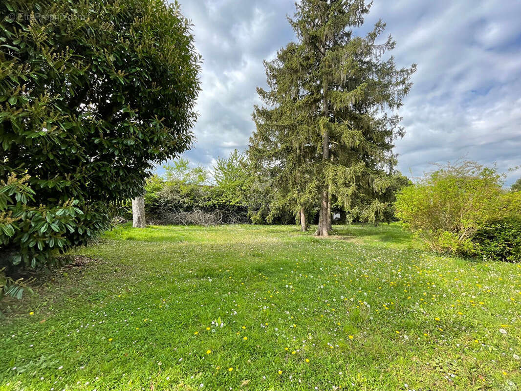 Terrain à SAINT-GERMAIN-EN-LAYE
