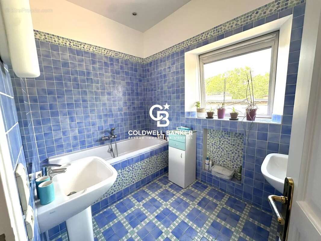 Maison à LE VESINET