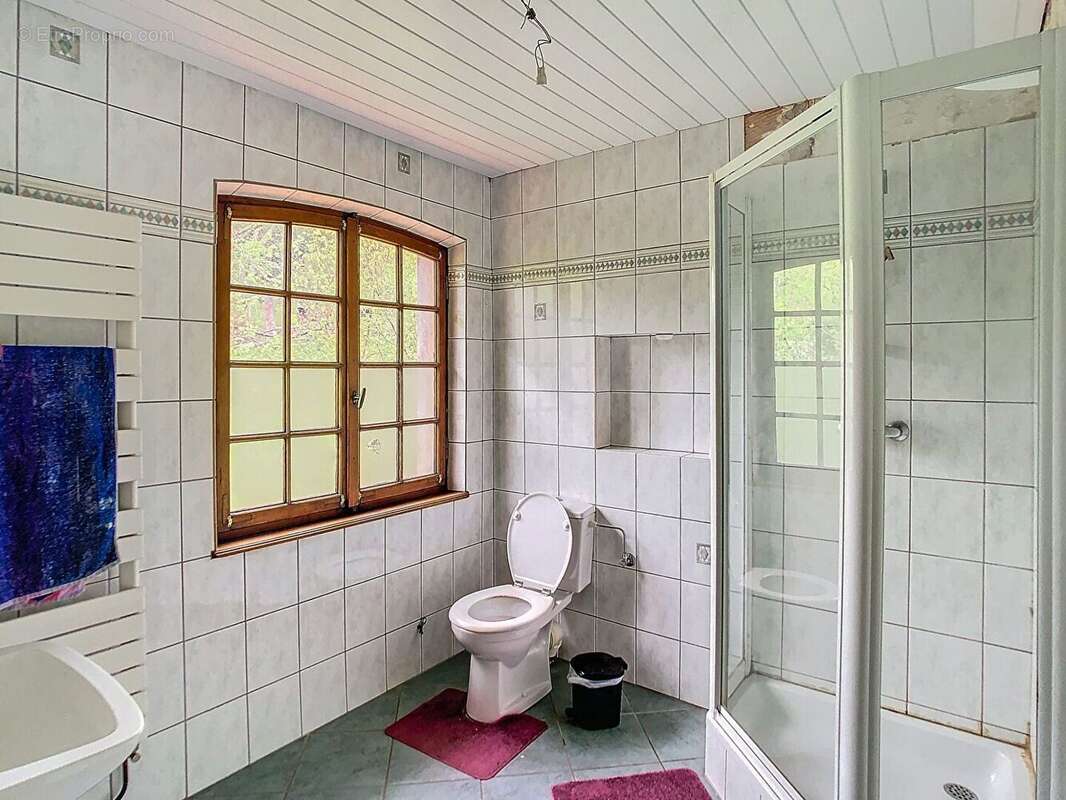 Maison à WANGENBOURG-ENGENTHAL