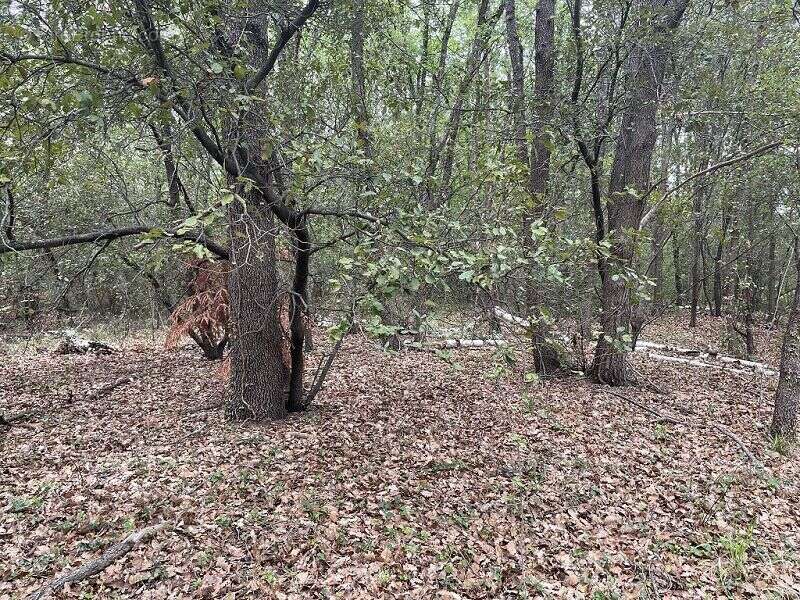 Terrain à MARQUIXANES