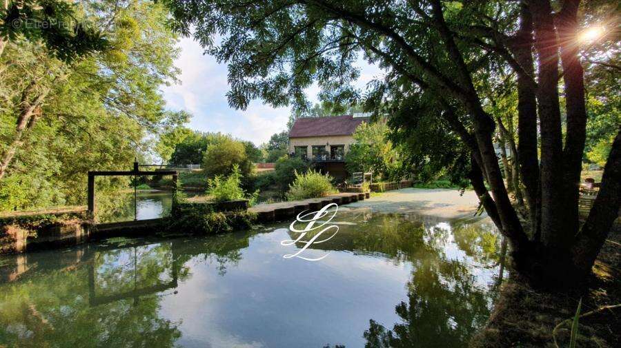 312 m² à Souligne-Sous-Ballon  - photo 2596