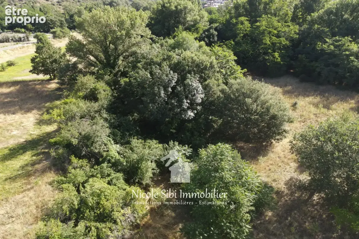Terrain 12 640 m² à vendre à Rodes (66320) - photo 3