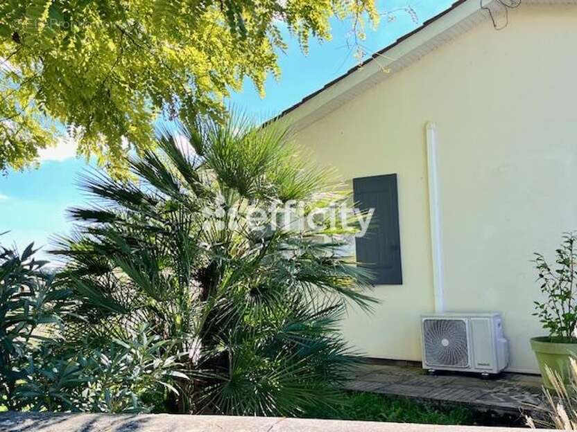 Maison à MESCHERS-SUR-GIRONDE