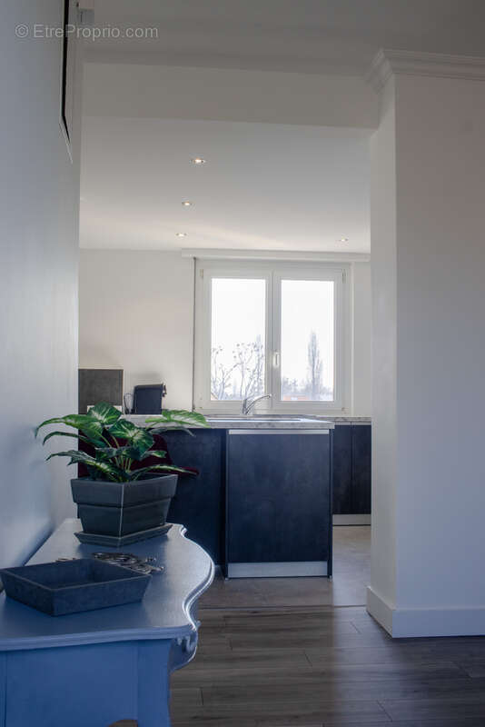 Autre à SCHILTIGHEIM